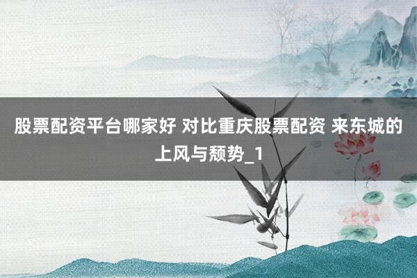 股票配资平台哪家好 对比重庆股票配资 来东城的上风与颓势_1